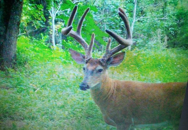 422 Kirk Lane, Tollesboro, KY 41189