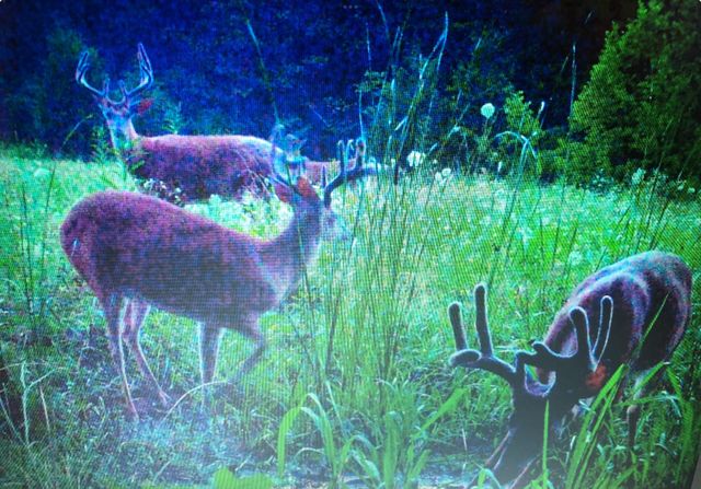 422 Kirk Lane, Tollesboro, KY 41189