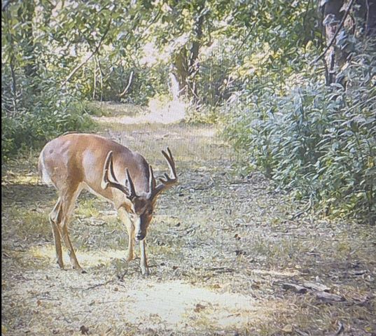 422 Kirk Lane, Tollesboro, KY 41189