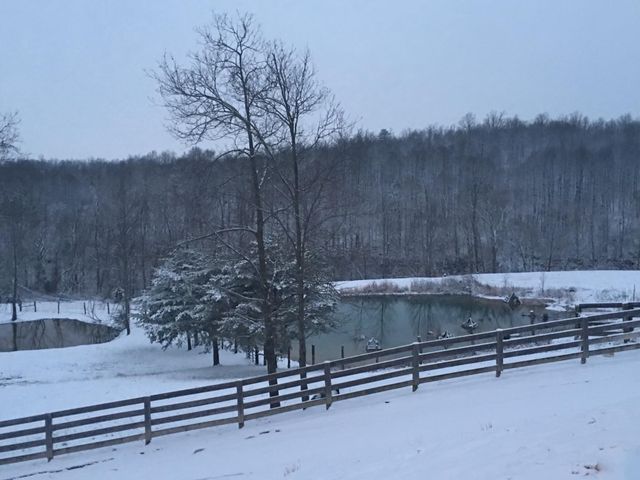 422 Kirk Lane, Tollesboro, KY 41189