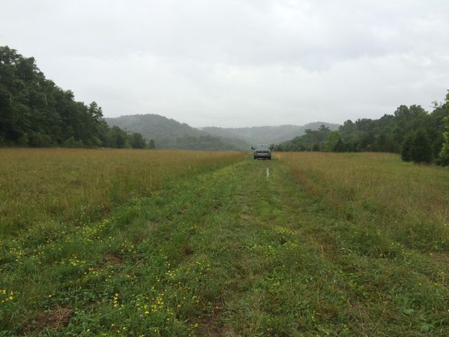 422 Kirk Lane, Tollesboro, KY 41189