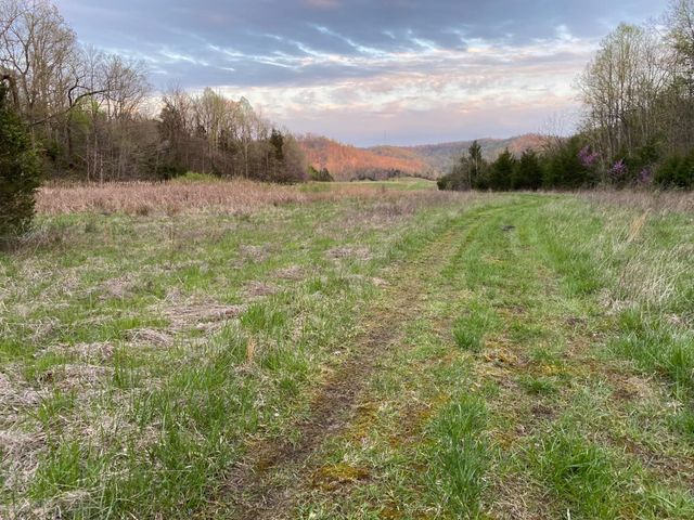 422 Kirk Lane, Tollesboro, KY 41189