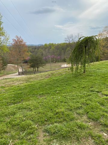 422 Kirk Lane, Tollesboro, KY 41189