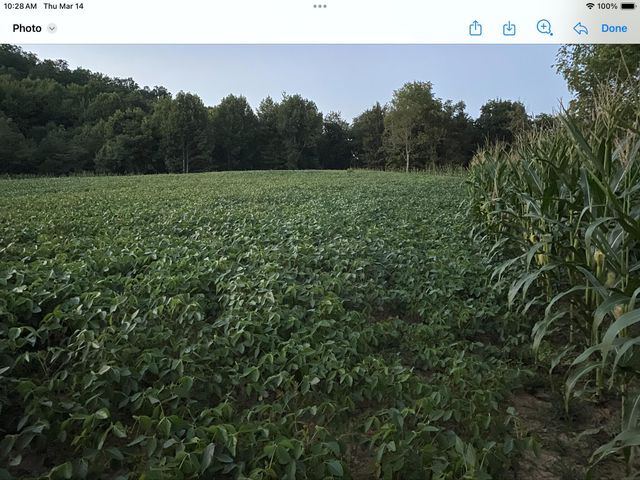 422 Kirk Lane, Tollesboro, KY 41189