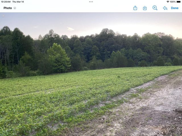 422 Kirk Lane, Tollesboro, KY 41189