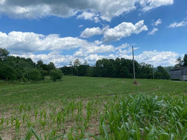 422 Kirk Lane, Tollesboro, KY 41189