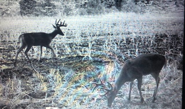 422 Kirk Lane, Tollesboro, KY 41189