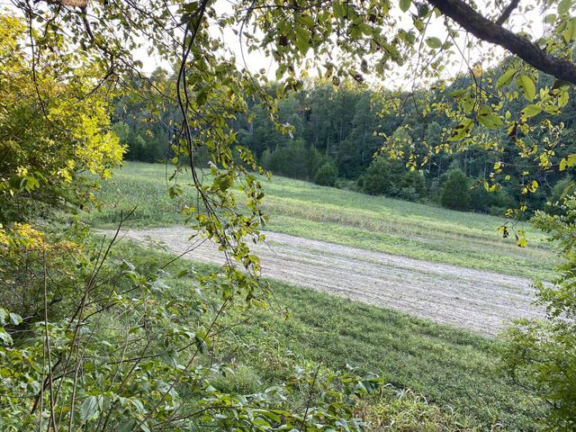 422 Kirk Lane, Tollesboro, KY 41189