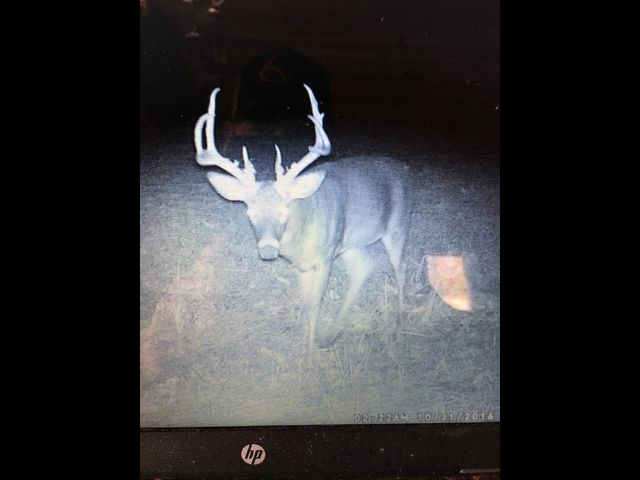 422 Kirk Lane, Tollesboro, KY 41189