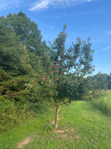 422 Kirk Lane, Tollesboro, KY 41189