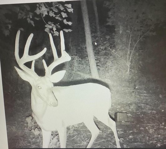 422 Kirk Lane, Tollesboro, KY 41189