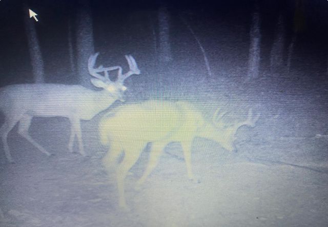 422 Kirk Lane, Tollesboro, KY 41189