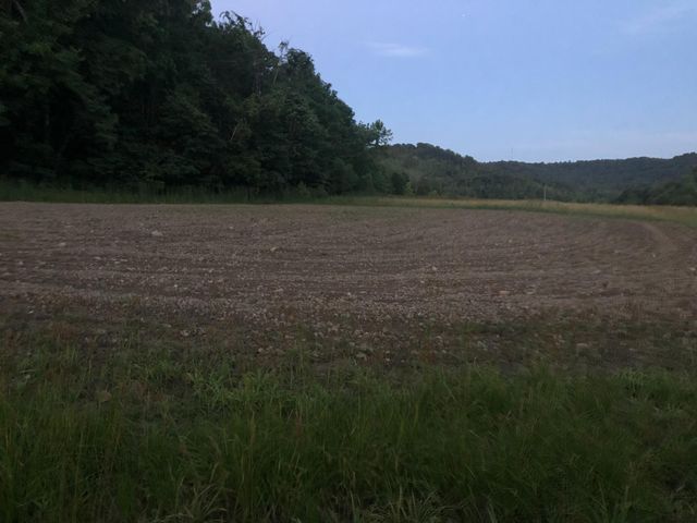 422 Kirk Lane, Tollesboro, KY 41189