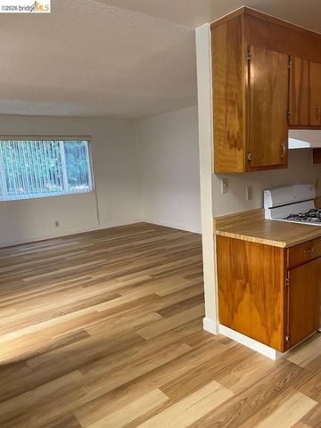 708 Solano Ave B, Albany, CA 94706