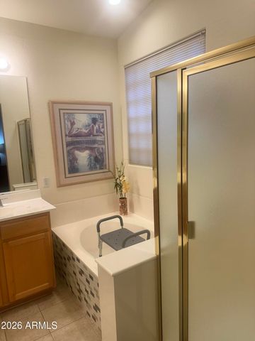 18111 W DESERT BLOSSOM Drive, Goodyear, AZ 85338