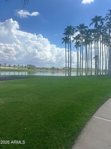18111 W DESERT BLOSSOM Drive, Goodyear, AZ 85338