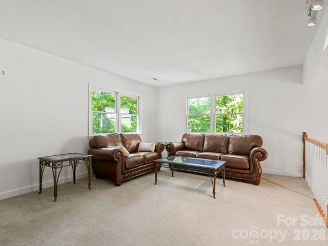 160 Little Mine Mountain Drive, Saluda, NC 28773
