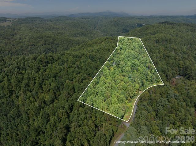160 Little Mine Mountain Drive, Saluda, NC 28773