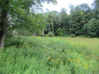 278 Ferndale Road, Ferndale, NY 12734