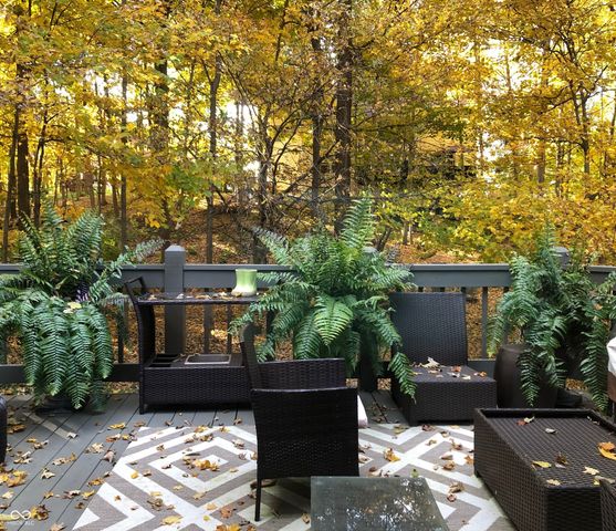 9767 Fortune Drive, Fishers, IN 46037