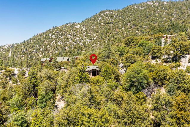 54950 Forest Haven Drive, Idyllwild, CA 92549