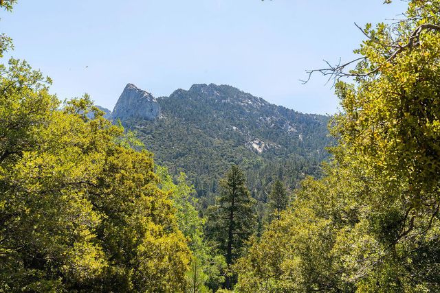 54950 Forest Haven Drive, Idyllwild, CA 92549