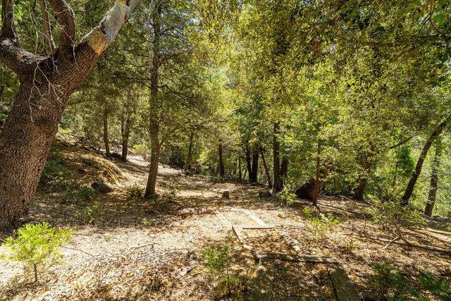 54950 Forest Haven Drive, Idyllwild, CA 92549