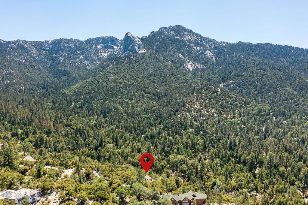 54950 Forest Haven Drive, Idyllwild, CA 92549