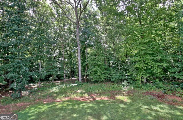 138 Old Bailey Farms Drive, Senoia, GA 30276