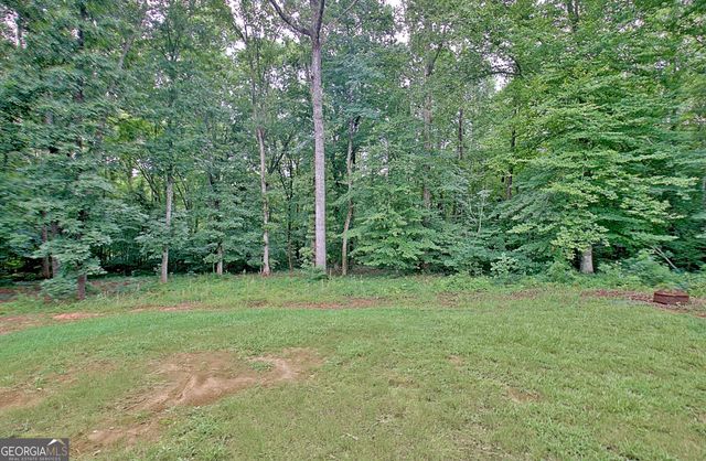 138 Old Bailey Farms Drive, Senoia, GA 30276