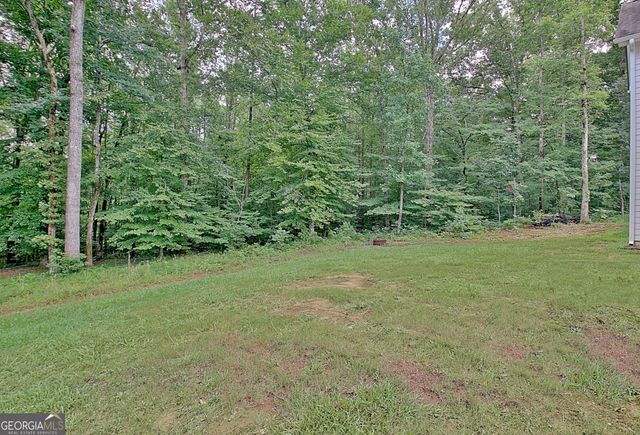 138 Old Bailey Farms Drive, Senoia, GA 30276