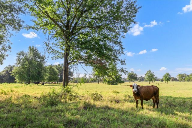 11789 Fm-2095 Highway, Gause, TX 77857