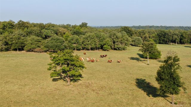 11789 Fm-2095 Highway, Gause, TX 77857