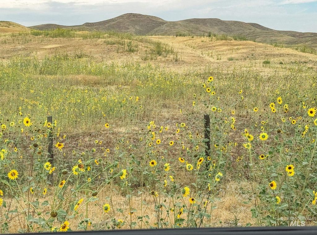 0 Stone Quarry Rd, Payette, ID 83661 photo 2