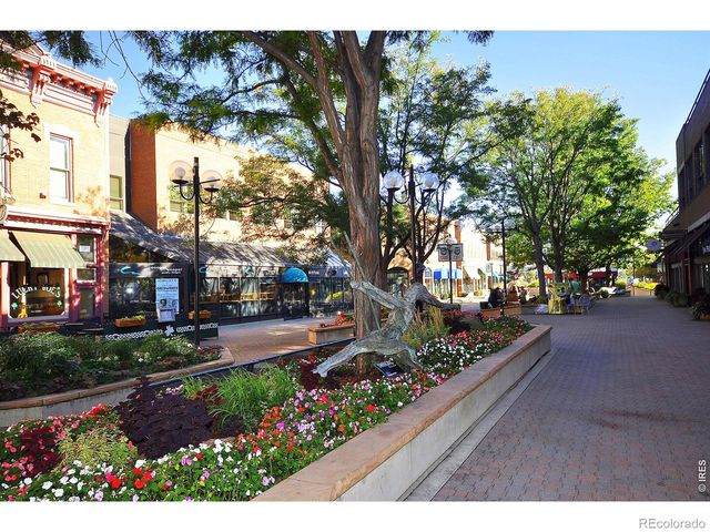 522 S Bryan Avenue, Fort Collins, CO 80521