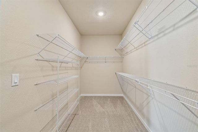 5921 BRISTLE OAK STREET, Mount Dora, FL 32757