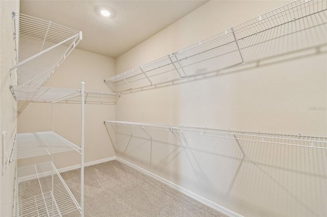 5921 BRISTLE OAK STREET, Mount Dora, FL 32757