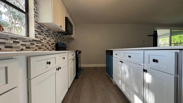 1051 CR 464, Lake Panasoffkee, FL 33538