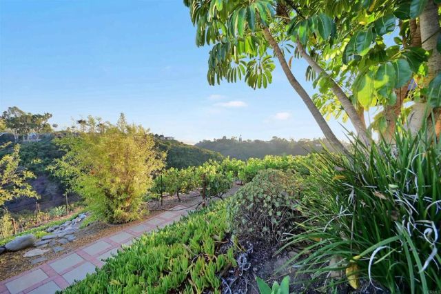3811 Hiawatha Way, San Diego, CA 92117