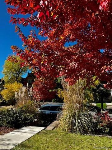 438 N Downing Street, Denver, CO 80218