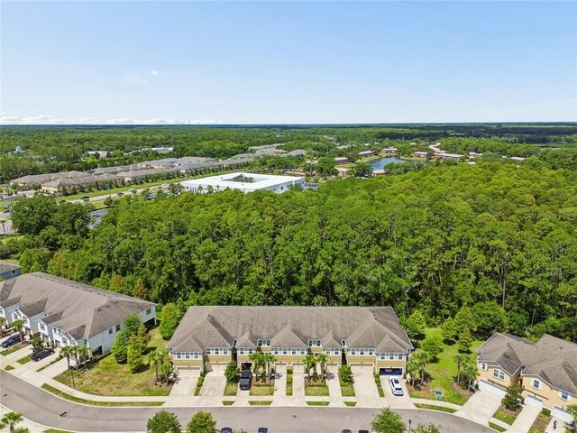17852 ALTHEA BLUE PLACE, Lutz, FL 33558