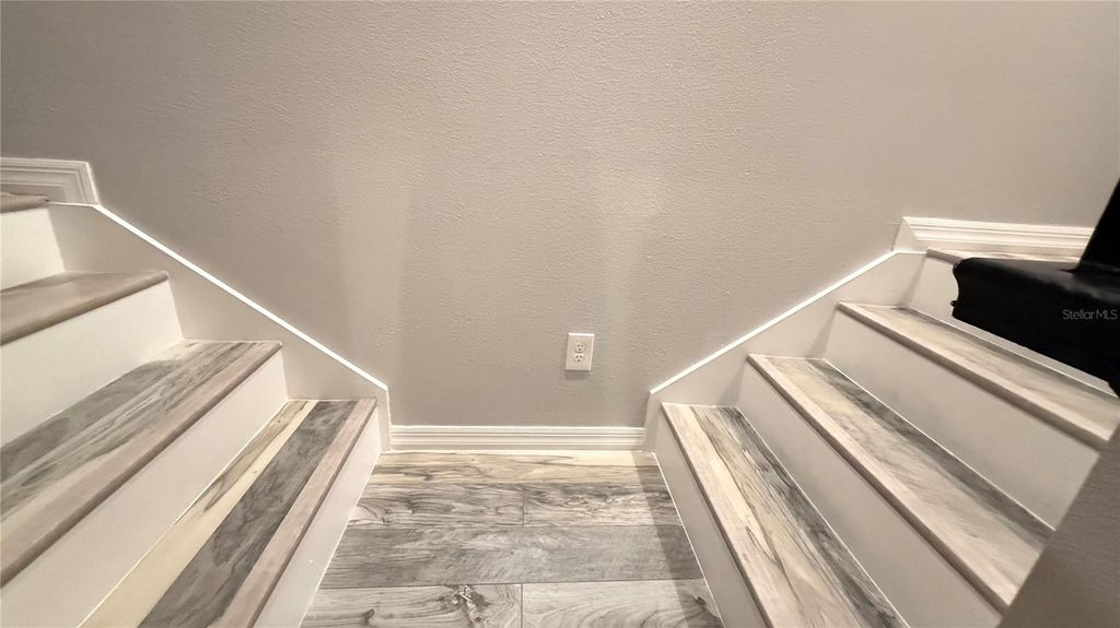Image 24 of property listing at 2384 SEDGE GRASS WAY, Orlando, FL 32824