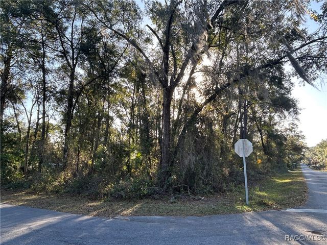 3428 E Jonah Place, Inverness, FL 34453