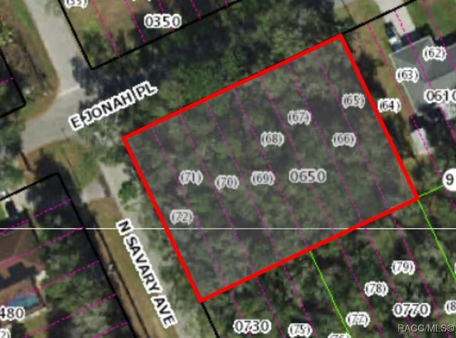 3428 E Jonah Place, Inverness, FL 34453