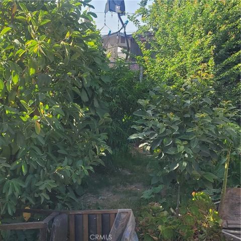 642 W Olive st, San Bernardino, CA 92410