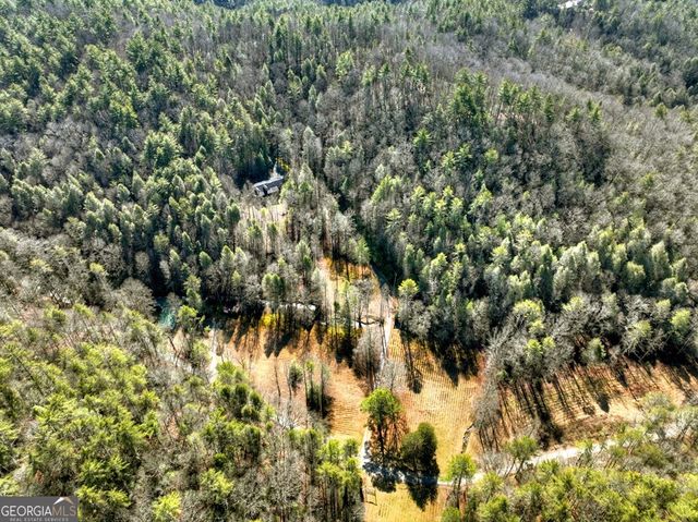7233 Shakerag Road, Ellijay, GA 30540