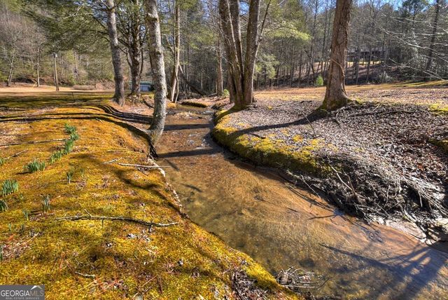 7233 Shakerag Road, Ellijay, GA 30540