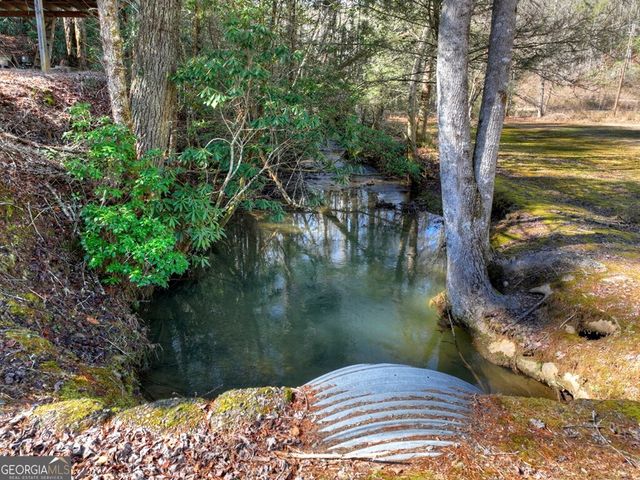 7233 Shakerag Road, Ellijay, GA 30540