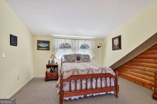 7233 Shakerag Road, Ellijay, GA 30540