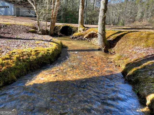 7233 Shakerag Road, Ellijay, GA 30540